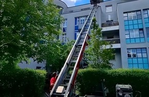 goodRanking Online Marketing Agentur: Möbeltransport: Mit maschineller Unterstützung von der alten in die neue Wohnung