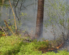FW Celle: Waldbrand in Westercelle - L&ouml;scharbeiten werden aus der Luft unterst&uuml;tzt!