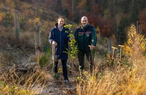 Krombacher Brauerei GmbH & Co.: Meilenstein erreicht: Krombacher hat eine Million Bäume gepflanzt