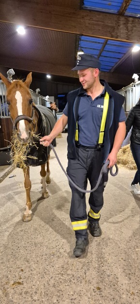 FW Schalksmühle: Feuerwehr trifft Pferd