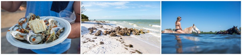 Bradenton Gulf Islands: Urlaubs-Bucketlist für Bradenton Gulf Islands | Top 10