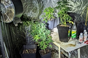Polizeipräsidium Neubrandenburg: POL-NB: Gefährliche Körperverletzung und Cannabisfund bei anschließender Durchsuchung einer Wohnung in Torgelow
