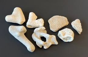 Hauptzollamt Bielefeld: HZA-BI: 3. M&auml;rz 2026: Tag des Artenschutzes/Zoll hilft bedrohte Tiere und Pflanzen zu sch&uuml;tzen