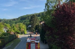 Freiwillige Feuerwehr Lügde: FW Lügde: Drei Einsätze beschäftigen Feuerwehr Lügde