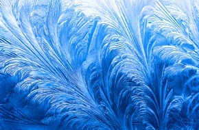 WetterOnline Meteorologische Dienstleistungen GmbH: Kunstwerke der Kälte: Eisblumen / So entstehen die filigranen Muster auf den Fenterscheiben