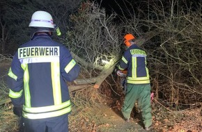 Freiwillige Feuerwehr Gemeinde Schiffdorf: FFW Schiffdorf: Sturmtief ,,Nadia'' sorgt für mehrere Sturmeinsätze im Gemeindegebiet - Ortschaft Schiffdorf am schlimmsten betroffen