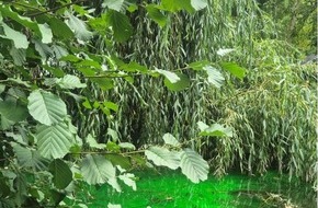 Landespolizeiinspektion Suhl: LPI-SHL: Teich neongr&uuml;n eingef&auml;rbt