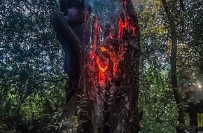 Feuerwehr Essen: FW-E: Brennender Baumstupf mitten im Naturschutzgebiet - Aufmerksamer Anrufer verhindert schlimmeres