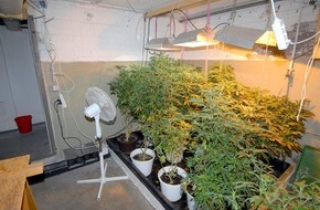 Polizei Düsseldorf: POL-D: Einfamilienhäuser in Düsseldorf und Neuss zum Cannabis-Anbau angemietet - 62-jähriger Züchter flog auf - Fotos hängen als Datei an