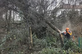 Feuerwehr Gevelsberg: FW-EN: Schwelbrand in der Unterverteilung, Bewohner in Sicherheit