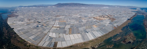 CuteSolar: Südeuropäische Solargewächshäuser liefern Obst und Gemüse aus nachhaltigem Anbau