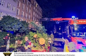 Feuerwehr München: FW-M: Unwetterbilanz (Stadtgebiet)