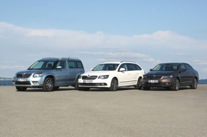 Prominente Schauspieler testen SKODA Yeti Monte Carlo und Octavia L&amp;K (FOTO)