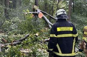 Feuerwehr Herdecke: FW-EN: Mehrere Einsätze am Wochenende - Baum blockierte Straße Kemnade
