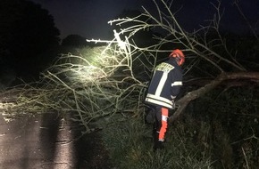 Feuerwehr Schermbeck: FW-Schermbeck: Umgestürzter Baum blockierte die Fahrbahn