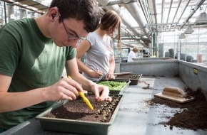 Kolpingwerk Deutschland gGmbH: KOLPING z&auml;hlt weiterhin zu Deutschlands besten Arbeitgeber*innen