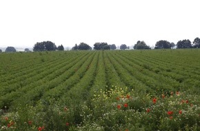 REWE Group: Immer mehr Produkte von REWE Bio tragen das Naturland-Zeichen (mit Bild)