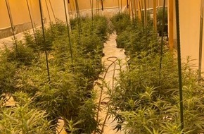 Polizeipr&auml;sidium Nordhessen: POL-NH: Polizei entdeckt Cannabisplantage mit rund 300 Pflanzen in Borken - Zeugen gesucht