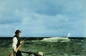 TELE 5: Harter Dreh bei 'Moby Dick': Der Todeskampf von Gregory Peck //
TELE 5 zeigt John Hustons Abenteuer-Klassiker am Sonntag, 14. März, um 20.15 Uhr
