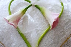 Blumenbüro: Ja, ich will: Heiraten mit der Hochzeitblume Calla (BILD)