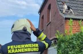 Freiwillige Feuerwehr Kranenburg: FW Kranenburg: Hund vom Dach gerettet und größeren Wasserschaden verhindert