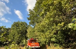 Feuerwehr Remscheid: FW-RS: Vegetationsbrand Papenberg Feuerwehr verhindert weitere Ausbreitung