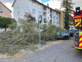 FW Konstanz: Unwetterlage fordert die Feuerwehr
