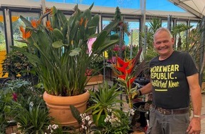 Landesgartenschau Neuss 2026: Fernweh, Urlaubssehnsucht und Exoten: Landesgartenschau Neuss 2026 pr&auml;sentiert neue Blumenschau