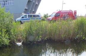 Polizeidirektion Flensburg: POL-FL: Flensburg - Federn im Schwanenteich : Schwanenmutter und Jungschwäne unverletzt,  Zeugen gesucht