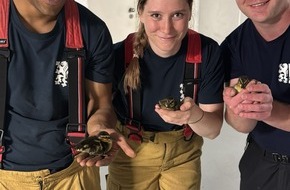 Feuerwehr Dresden: FW Dresden: Ente gut, alles gut: Erfolgreiche Tierrettung