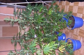 Polizeidirektion Hannover: POL-H: Presseinformation der Polizeiinspektion Garbsen Ermittler finden Cannabis-Aufzuchtanlage