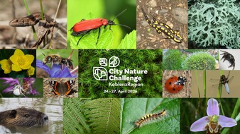 Universit&auml;t Koblenz: &bdquo;KoblenzRegion&ldquo; zum ersten Mal Teil der weltweiten City Nature Challenge