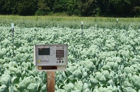 PlantCare AG: Breakthrough in agricultural irrigation: PlantCare's invention supports sustainable world food production (PICTURE)