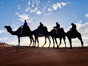 Eberhardt TRAVEL verzeichnet stabile Nachfrage bei anhaltend hoher Reiselust