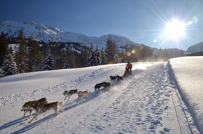 Winterspektakel für Mensch und Tier - Erster Schlittenhunde-Weltcup in Bad Hindelang seit 2018 – Kinder-Wettbewerb auf abgesicherter Strecke