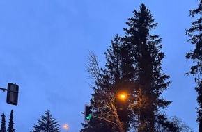 Feuerwehr Detmold: FW-DT: Baum auf Ampelmast