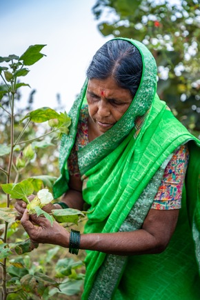 Aid by Trade Foundation Turns 20, Invests Half a Million Euros in New Biodiversity Fund