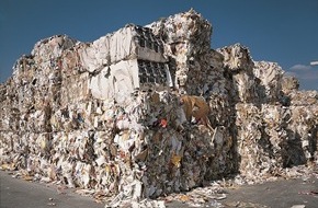 Gesellschaft für Papier-Recycling: Über 83 Prozent - Erneut sehr hohe Verwertungsquote von grafischen Papieren