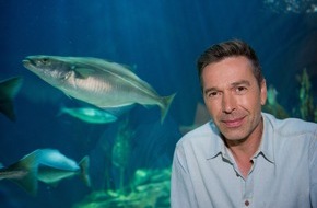 ZDF: Supertiere des Wassers / Neue Staffel der erfolgreichen ZDF-"Terra X"-Reihe mit Dirk Steffens (FOTO)