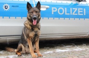 Polizei Hamburg: POL-HH: 200105-5. Zwei Zuführungen nach Einbruch in Hamburg-Nienstedten