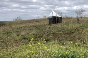 Universität Koblenz: Deutschlandweite Studie zeigt: Insekten in Naturschutzgebieten sind stark mit Pestiziden belastet