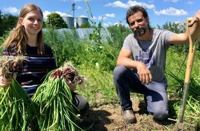 ZDF: Kohlrabi statt Papaya: "plan b" im ZDF über "Slow Food"