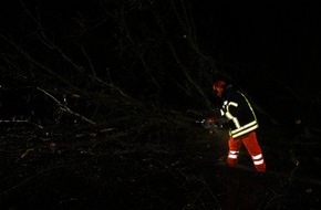 Freiwillige Feuerwehr Werne: FW-WRN: TH_1 - Baum auf Fahrbahn