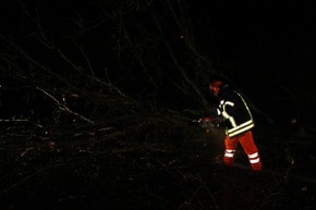 FW-WRN: TH_1 - Baum auf Fahrbahn