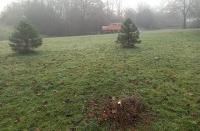 Polizei Hagen: POL-HA: Urweltmammutbaum mit Christbaum verwechselt und gestohlen?