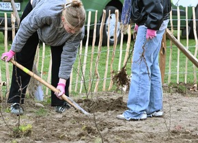 BAUHAUS pflanzt Waldinsel in Leipzig