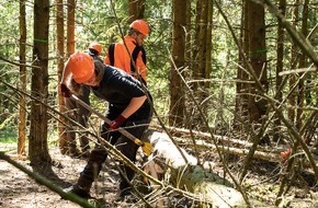 Bergwaldprojekt e.V.: Über 40 Freiwillige mit dem Bergwaldprojekt im Einsatz für eine naturnahe Waldentwicklung im Zukunftswald Unterschönau