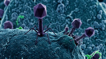 Universit&auml;tsklinik Balgrist: MEDIENMITTEILUNG - Mit Viren gegen Bakterien: EU f&ouml;rdert Phagentherapie mit 15 Millionen Euro