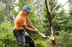 Bergwaldprojekt e.V.: Bergwaldprojekt-Freiwillige in Fichtelberg im Einsatz für Kreuzotter und Auerhuhn