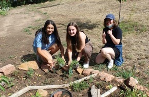 Stiftung für Mensch und Umwelt: Giving Tuesday: Kräuterpakete für naturbegeisterte Kids!